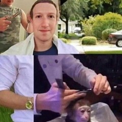 panquesito