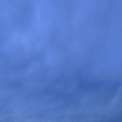 Aoikuma.0630