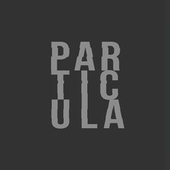 Partícula