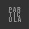Partícula