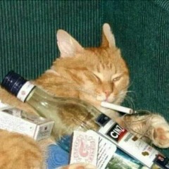 Lilstoned