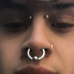 Noes