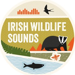 Irish Wildlife Sounds