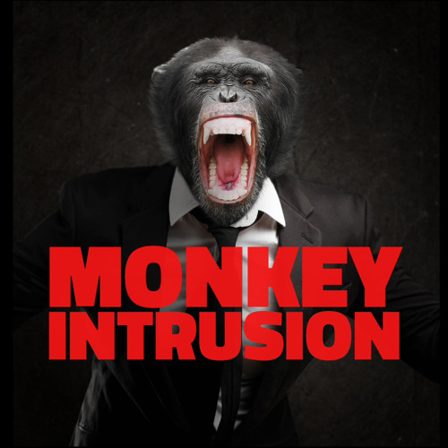 Monkey Intrusion’s avatar