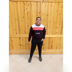 ali kandil