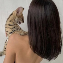 ﮼عذوب 🐆