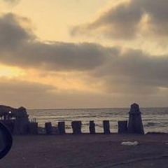 Nora Hany