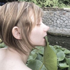 ひゃーめょってーくぅ