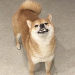 Stubz03