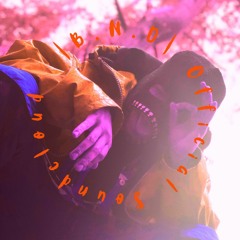 B.N.D| The Official S.C|