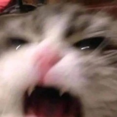 홍성크루🔥 (윤태달려)