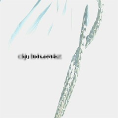 DJBLUNTZ
