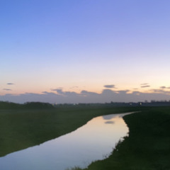 a_233321