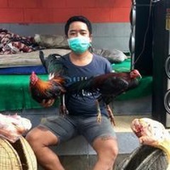 Dony Pragastia