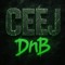 CEEJ DNB