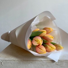 herbeautyblooms