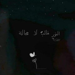 Raniia Muhammed