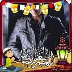محمد اميرالاحزان بدر