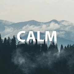 The Calm Nest