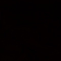 AlseeB