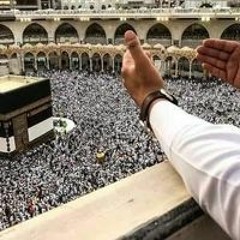 Mohaned Hamza