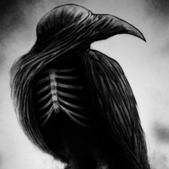 NAMELESS RAVEN