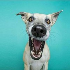 Максим Вадимович