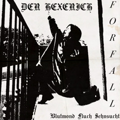 Hexerich