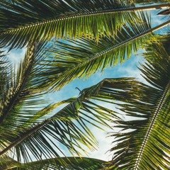 Tumbalolo