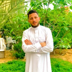احمد الشربينى