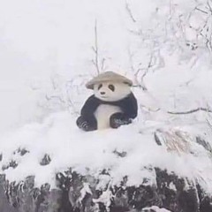 Lost(New account)