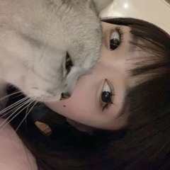 にゃん