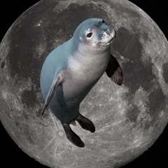 185bpm jump up madness (vol2.1)