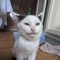 mmmkitty2