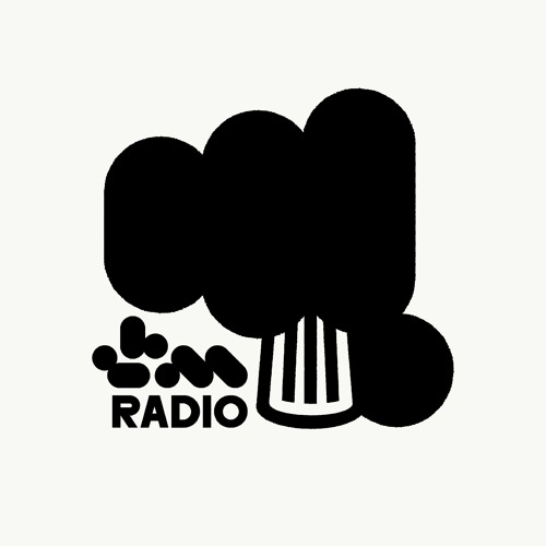 Radio LBM’s avatar