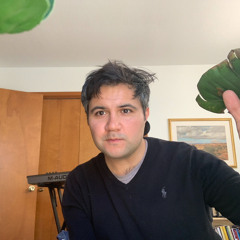Andres Ortegon