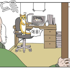 김코코