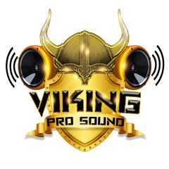Viking Pro Sound