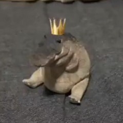 riotic