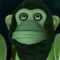 Noctis Gaming