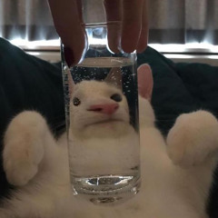 mar