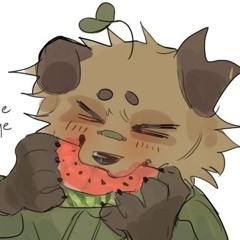 Cococanbork
