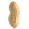 peanut