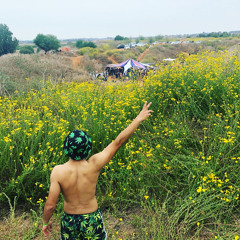 doronius