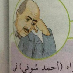 Ahmed M. Shawki