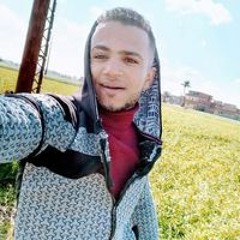 محمود ابو علي