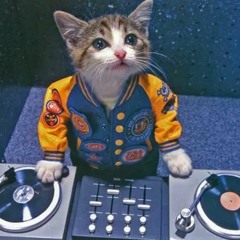 Stream Cat Scratch music | Listen to songs, albums, playlists for free on  SoundCloud