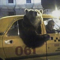 Hashim Amin Khan Tareen