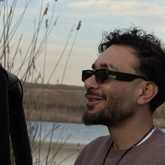 Amir iron
