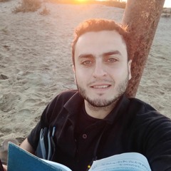 Ahmed  Sahlool